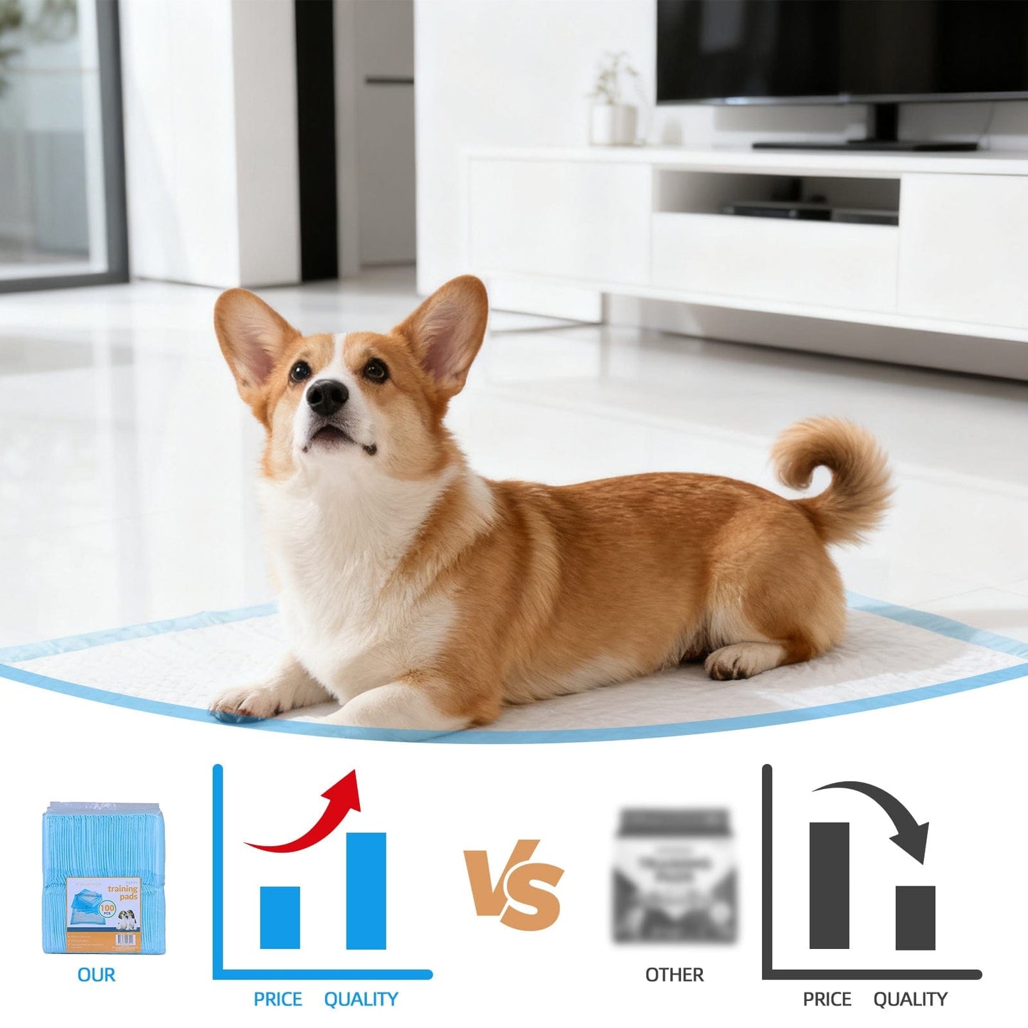 Living Today Pets 400 Pcs Dog Absorbent Training Pad 60 x 60 cm