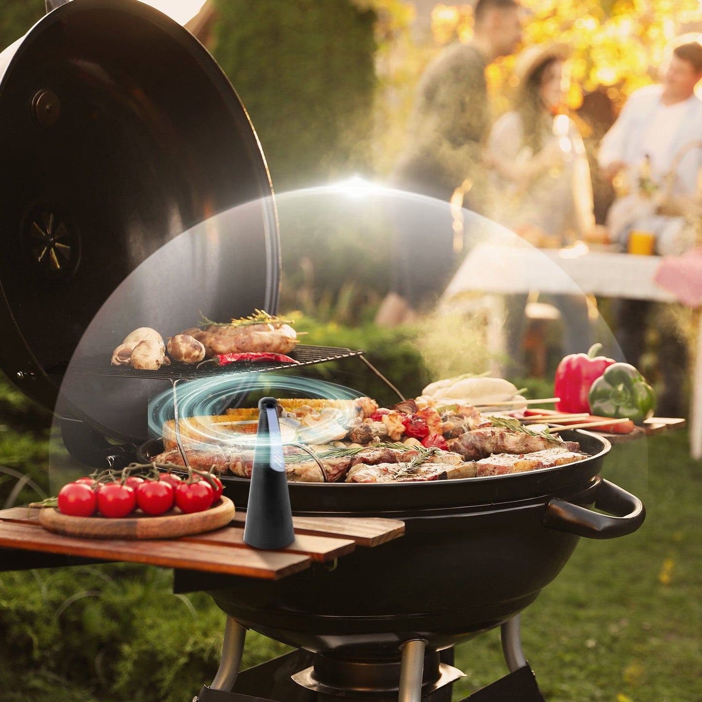 Living Today Household Insect Repellents Battery Operated Shoo-Fly Chemical Free Fly Repellent Fan Gold