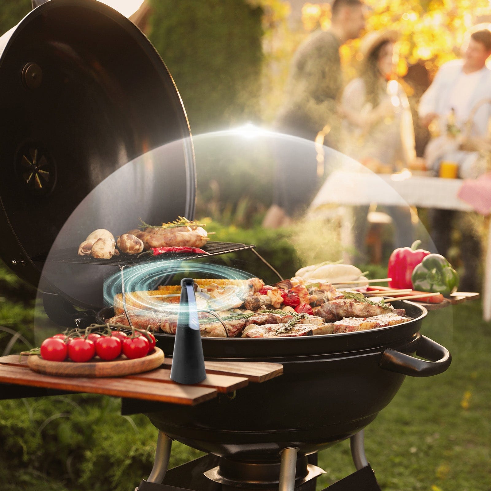 Living Today Household Insect Repellents Battery Operated Shoo-Fly Chemical Free Fly Repellent Fan Gold