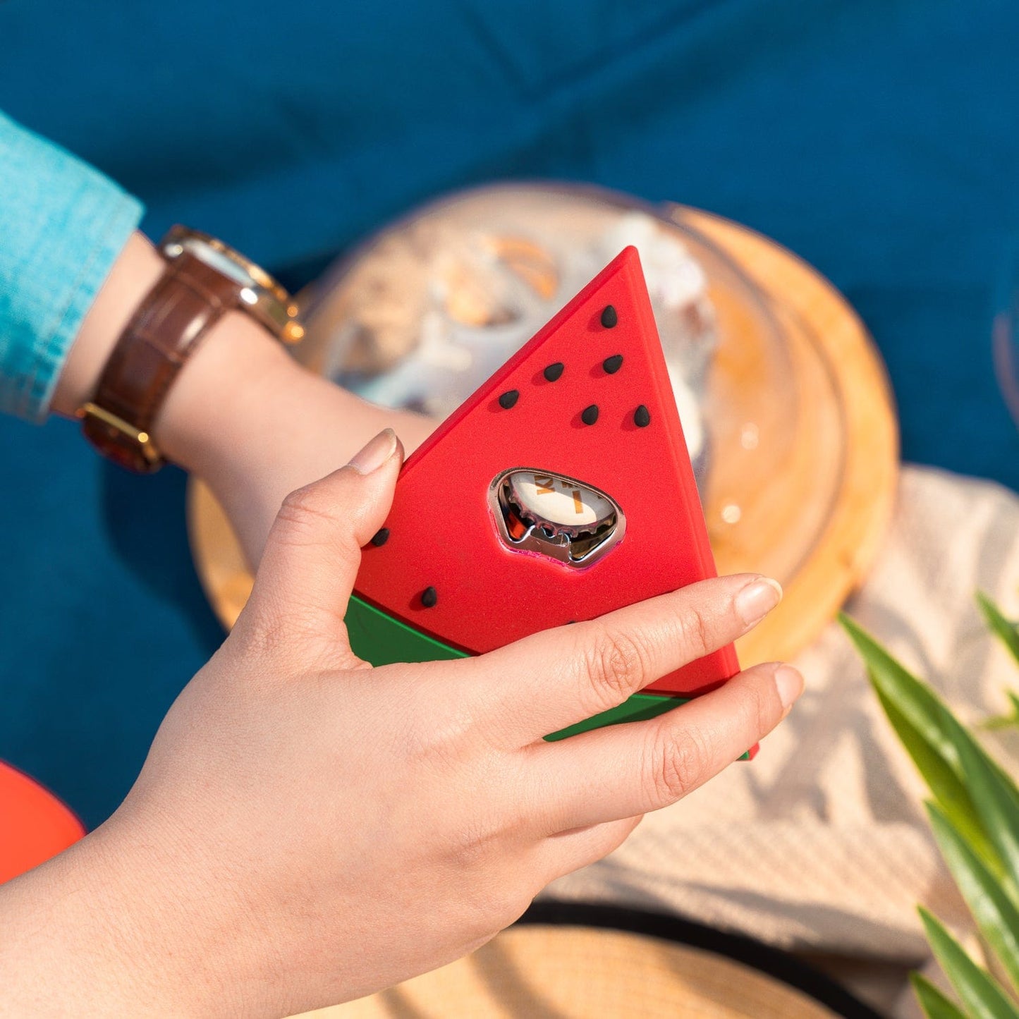 Lazy Dayz Homewares 4Pks of 12cm Summer Essential Novelty Bottle Opener