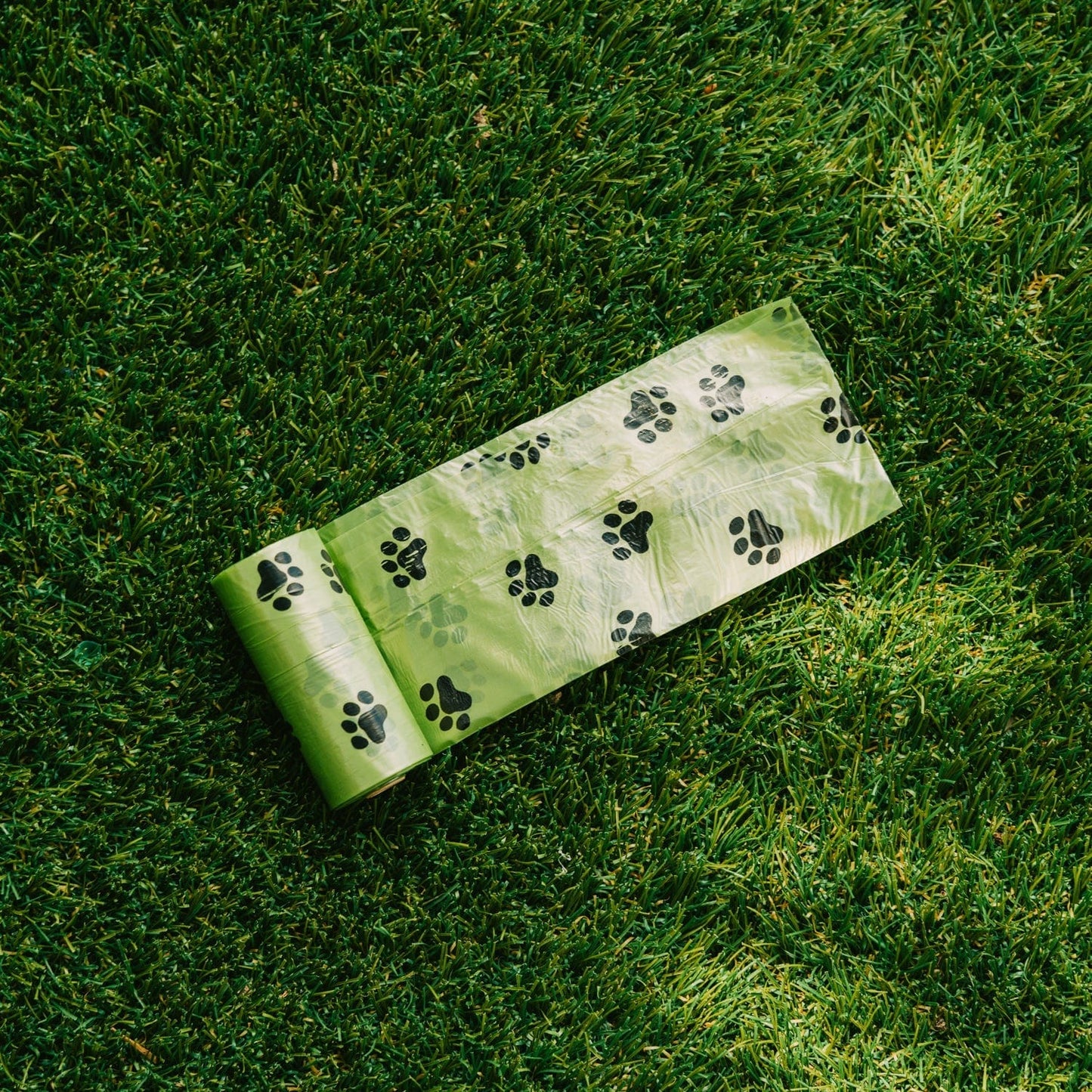 LIVINGTODAY dog poop dispenser and bags LIVINGTODAY 240 Biodegradable Unscented Pet Dog Poop Waste Bags