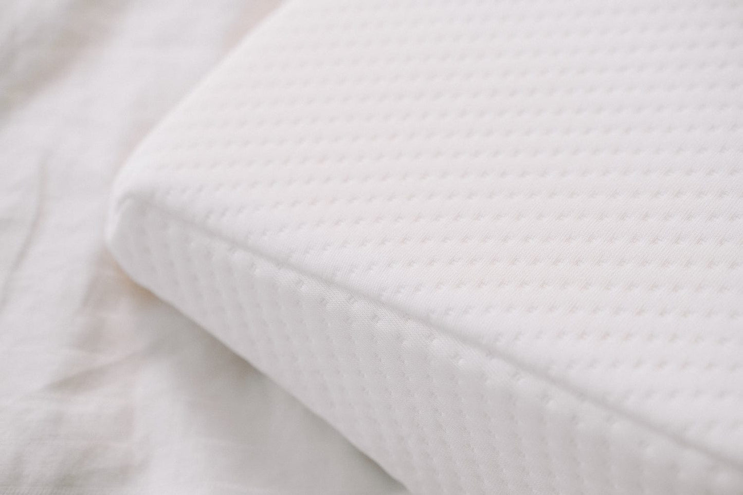 Living Today Pillows Clevinger Memory Foam Bed Wedge Back Support Pillow
