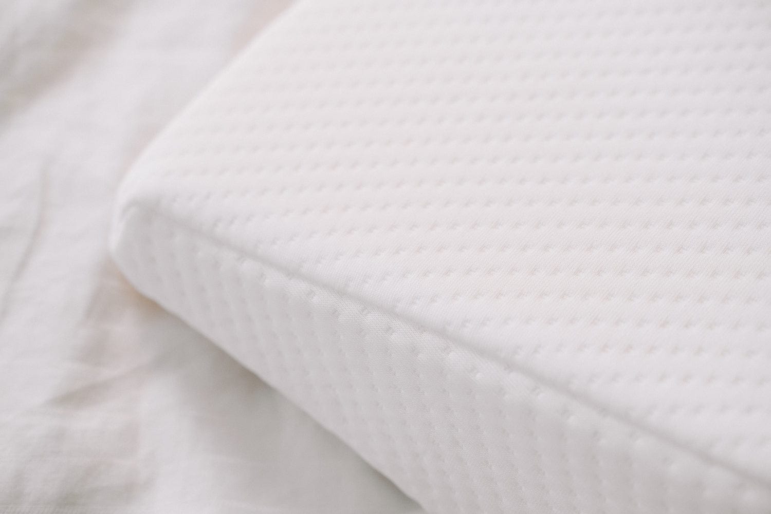 Living Today Pillows Clevinger Memory Foam Bed Wedge Back Support Pillow