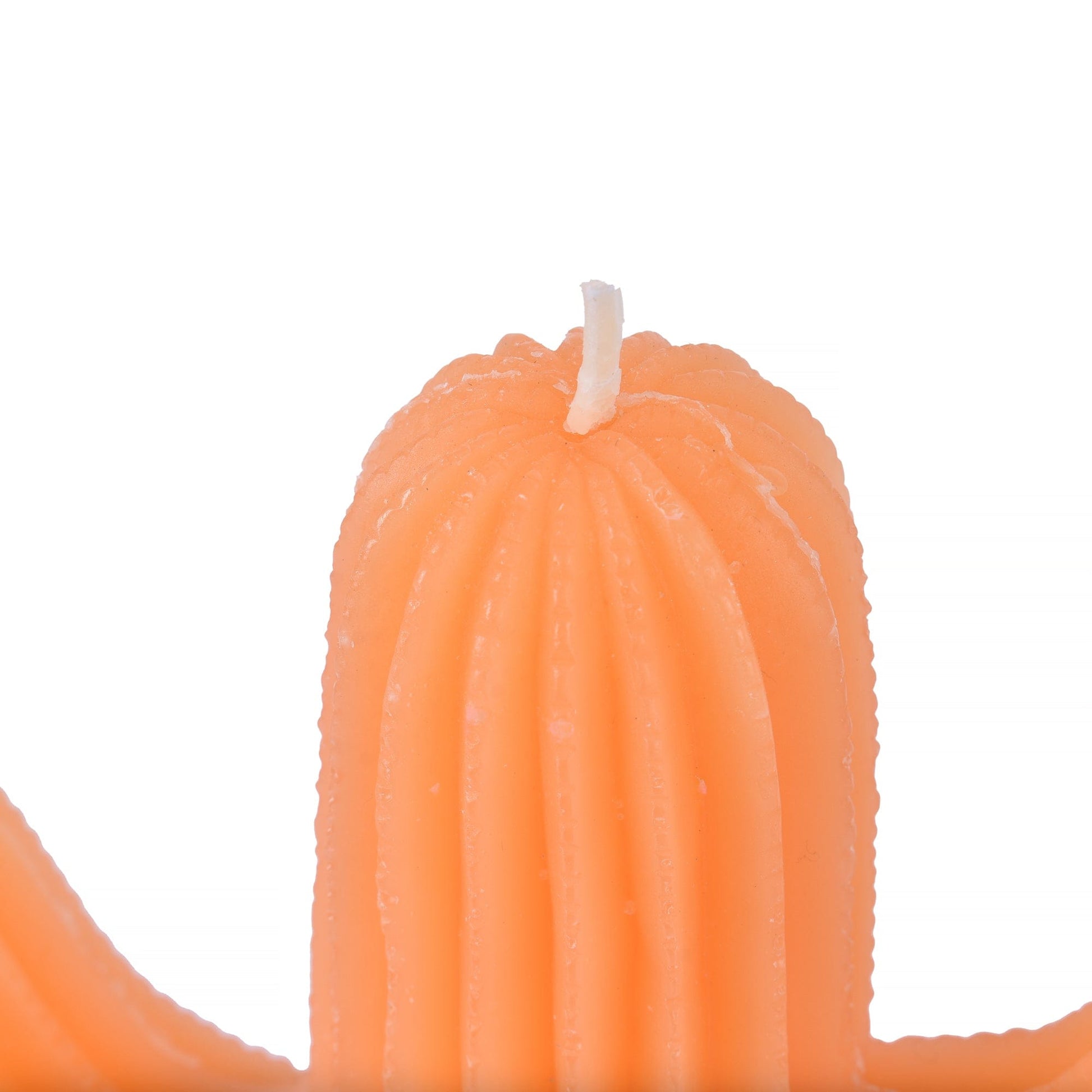 Lazy Dayz Candle 4 pc Large Simulation Plant Cactus Candle Tea Light