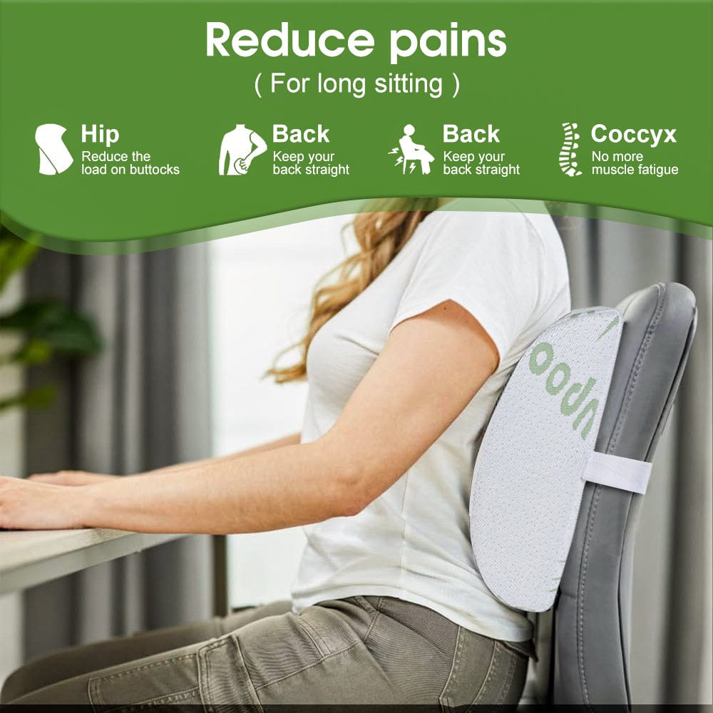 Living Today Office Memory Foam Back Support Office, Car Pillow