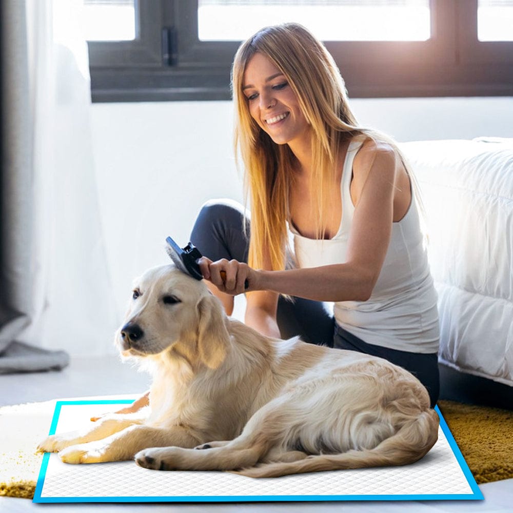 Living Today Pets 400 Pcs Dog Absorbent Training Pad 60 x 60 cm