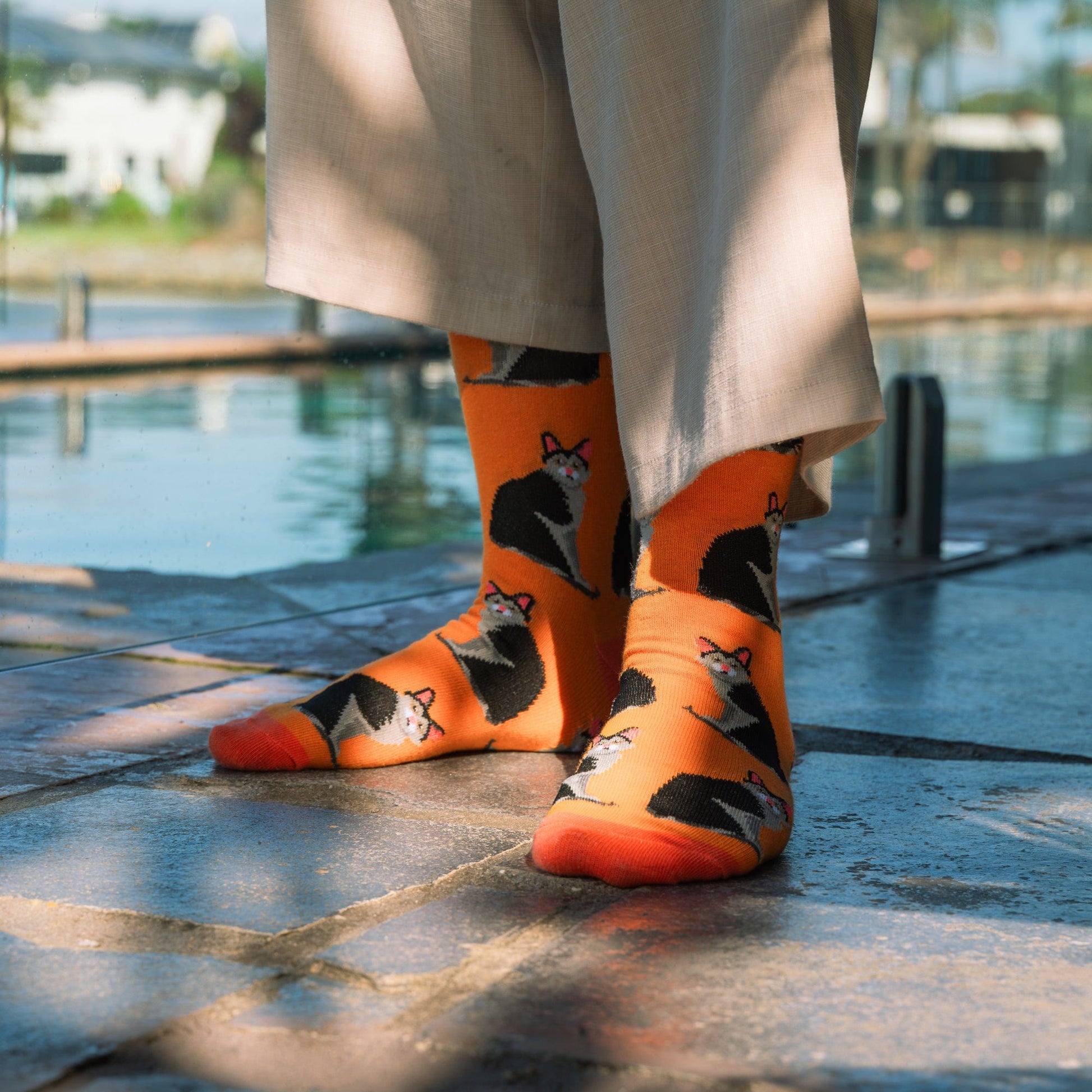 Sock Exchange Socks 8 Pairs Fashion Novelty Funny  Socks one Size 5-13 Men  Socks  Women  Socks #1