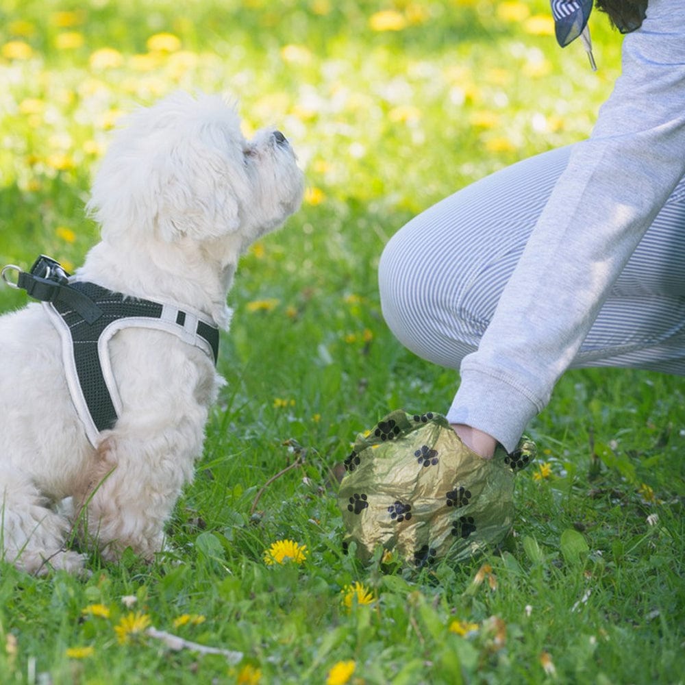 LIVINGTODAY dog poop dispenser and bags LIVINGTODAY Pet Dog Poop Dispenser and 105 Biodegradable Unscented Waste Bags