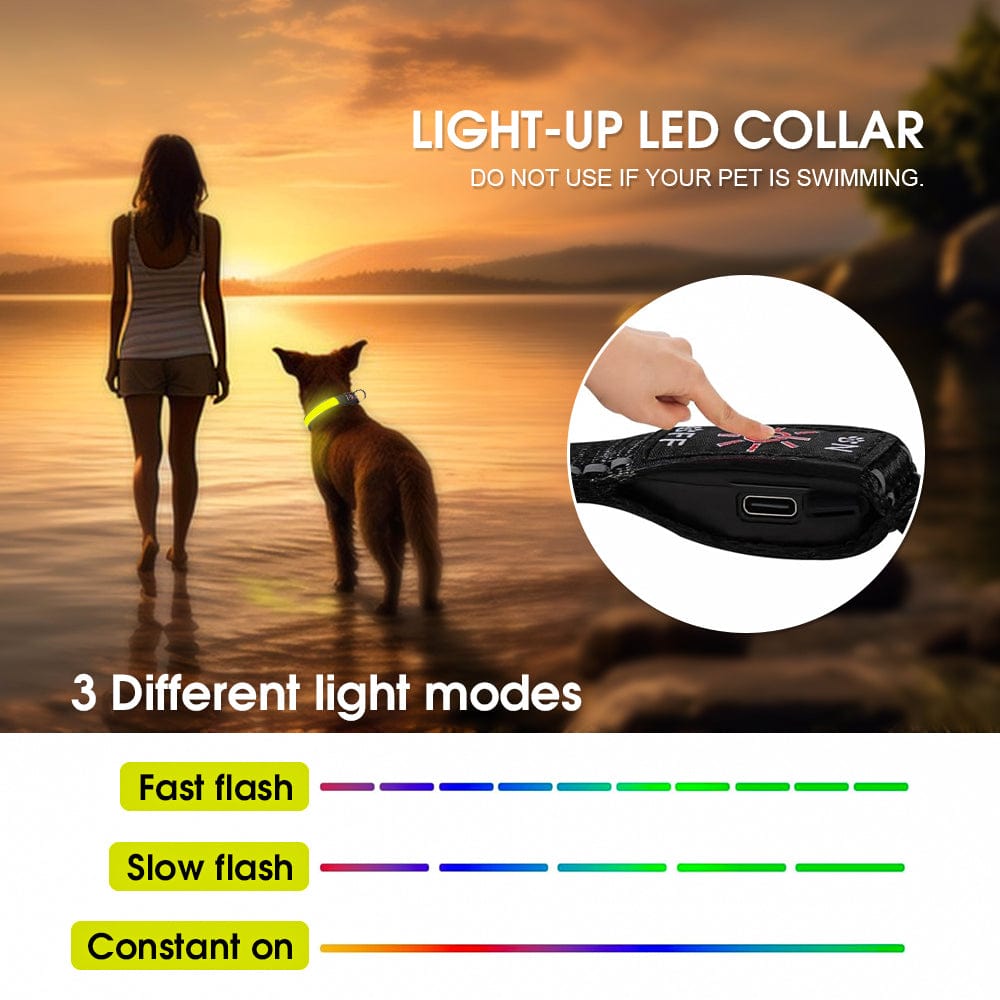 Living Today Pets 50cm USB Rechargeable Light-up LED Pet Collar
