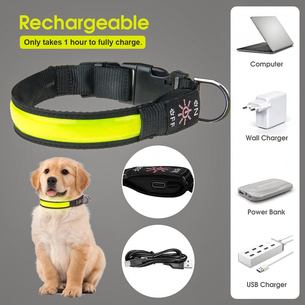 Living Today Pets 50cm USB Rechargeable Light-up LED Pet Collar