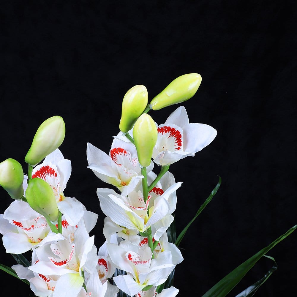Living Today Artificial Flora 100cm White Cymbidium - Artificial Plant, Home Decor Flora