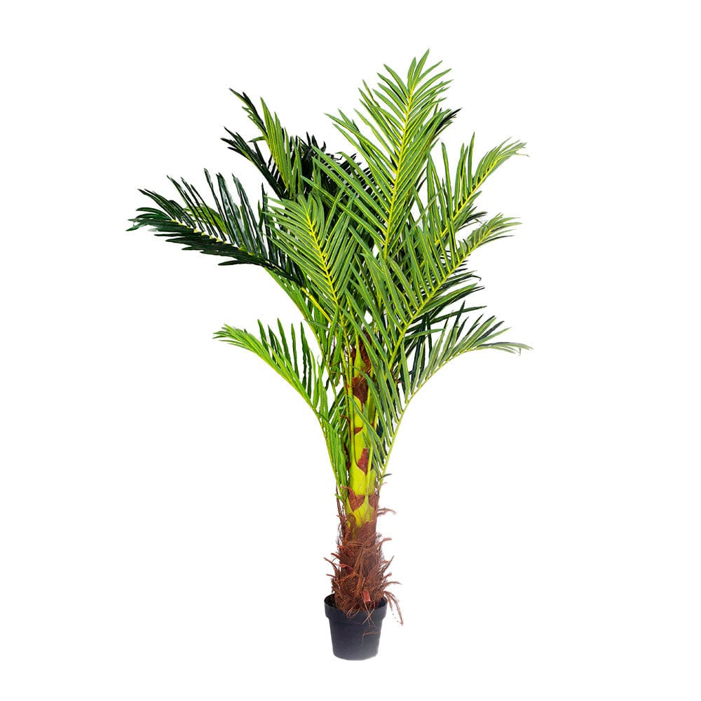 Living Today Artificial Flora 180cm Phoenix Palm - Artificial Plant, Home Decor Flora