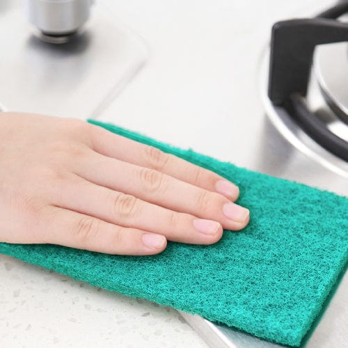 Living Today SCOURING PADS 10PK