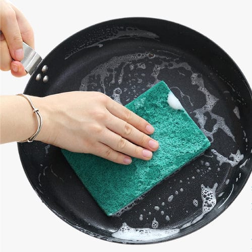 Living Today SCOURING PADS 10PK