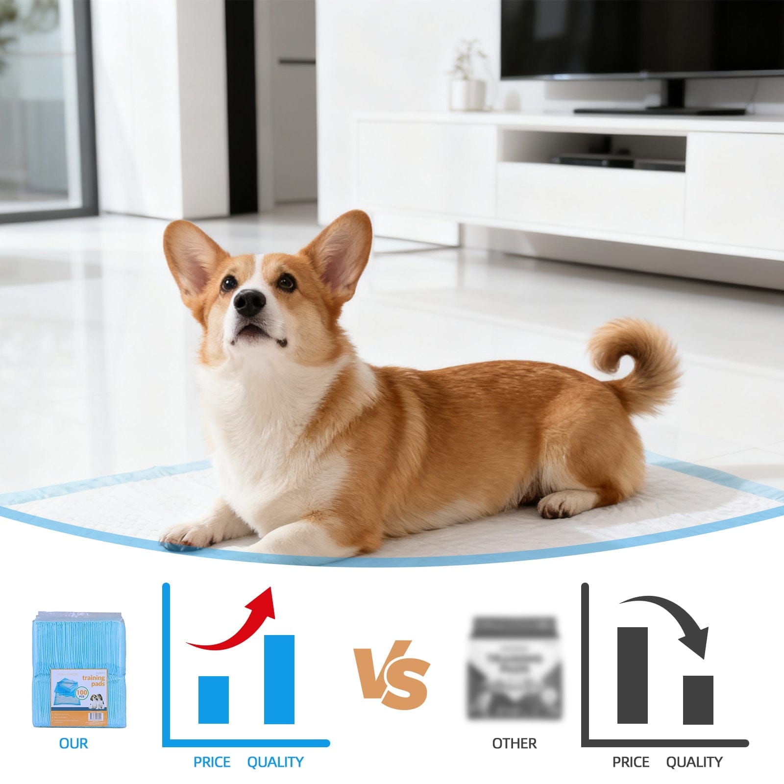 Living Today Pets 400 Pcs Dog Absorbent Training Pad 60 x 60 cm