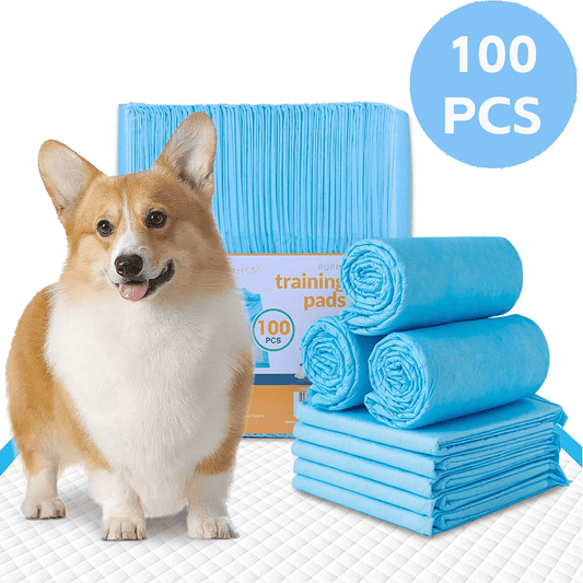 Living Today Pets 100pcs Dog Absorbent Training Pad 60 x 60 cm