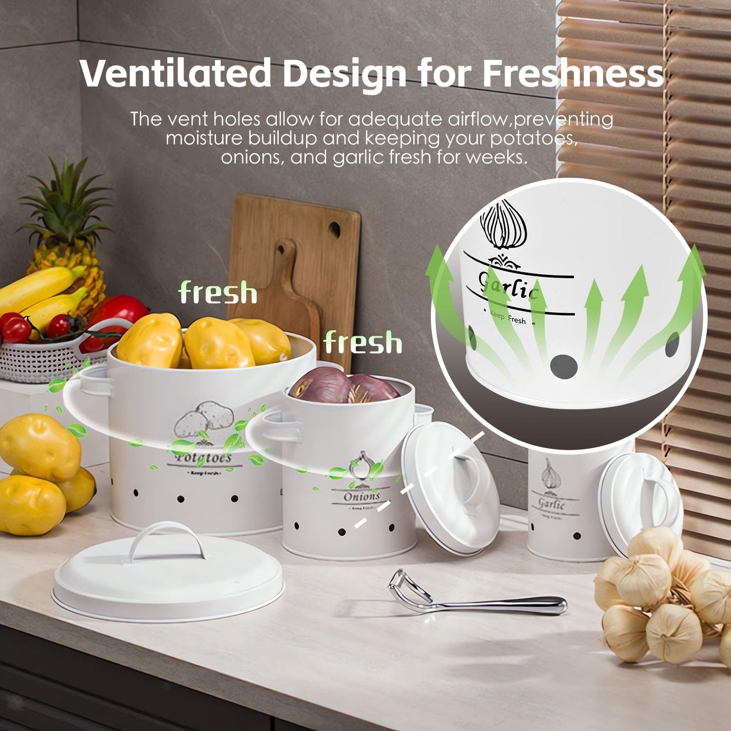 Clevinger Kitchen 3 Pcs Galvanised Iron Fruit Vegetable Storage Tins