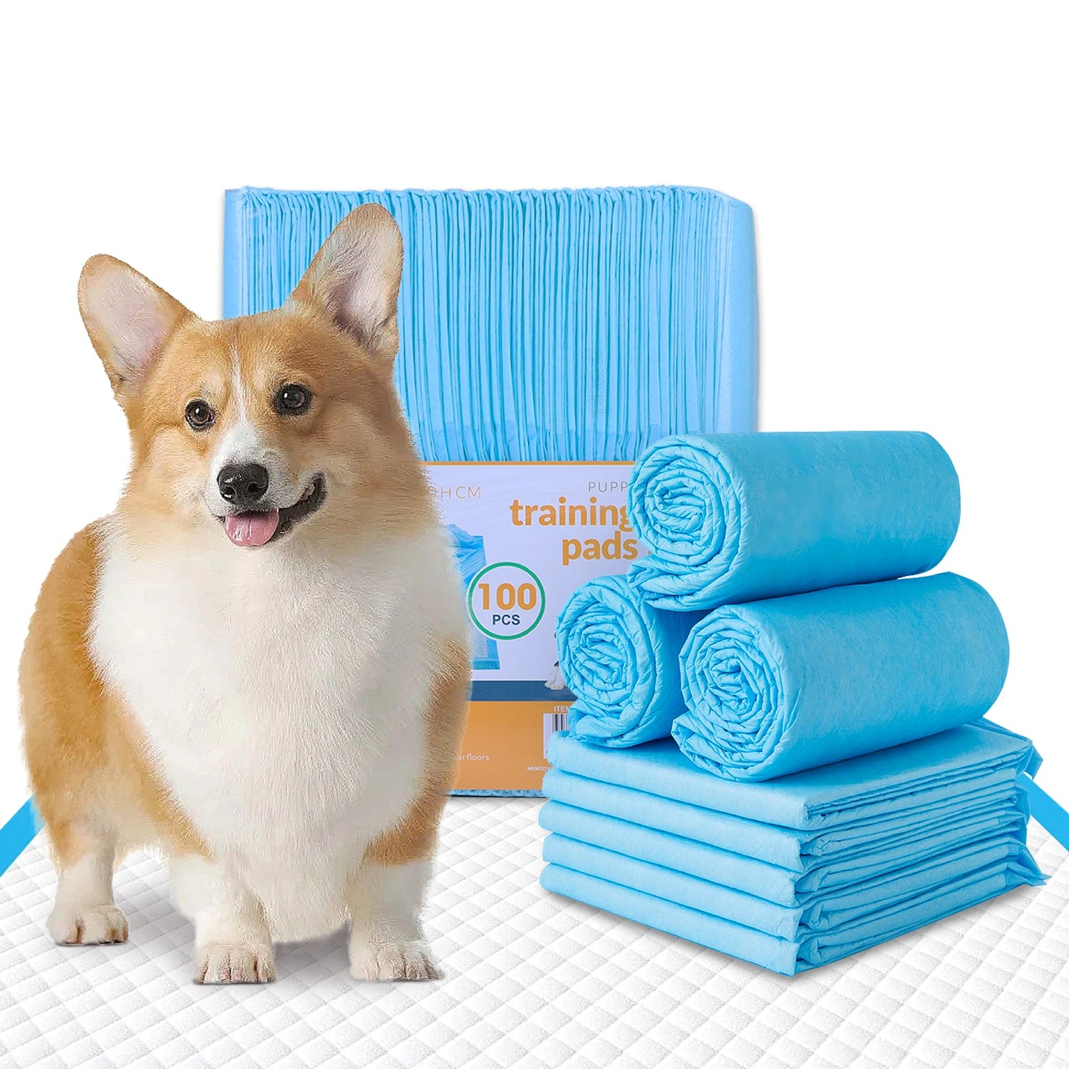 Living Today 100pcs Dog Absorbent Training Pad 60 x 60 cm