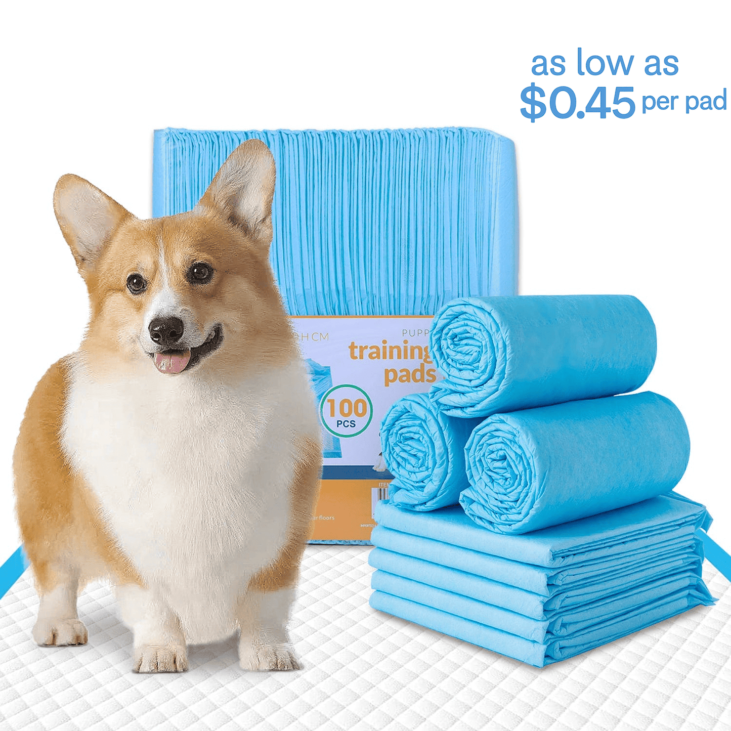 Living Today Pets 100pcs Dog Absorbent Training Pad 60 x 60 cm