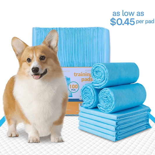 Living Today Pets 100pcs Dog Absorbent Training Pad 60 x 60 cm