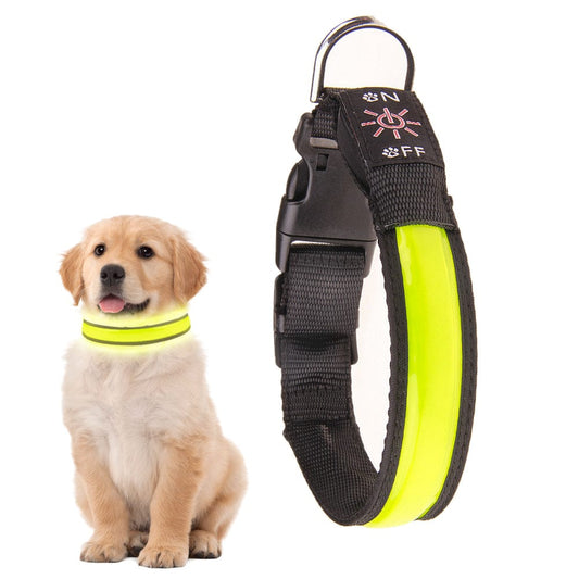 Living Today Pets 50cm USB Rechargeable Light-up LED Pet Collar