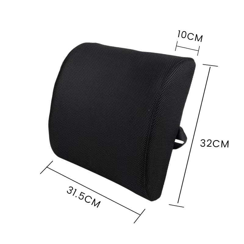 Living Today Pillows Memory Foam Lumbar Back Support Cushion with Black Cover