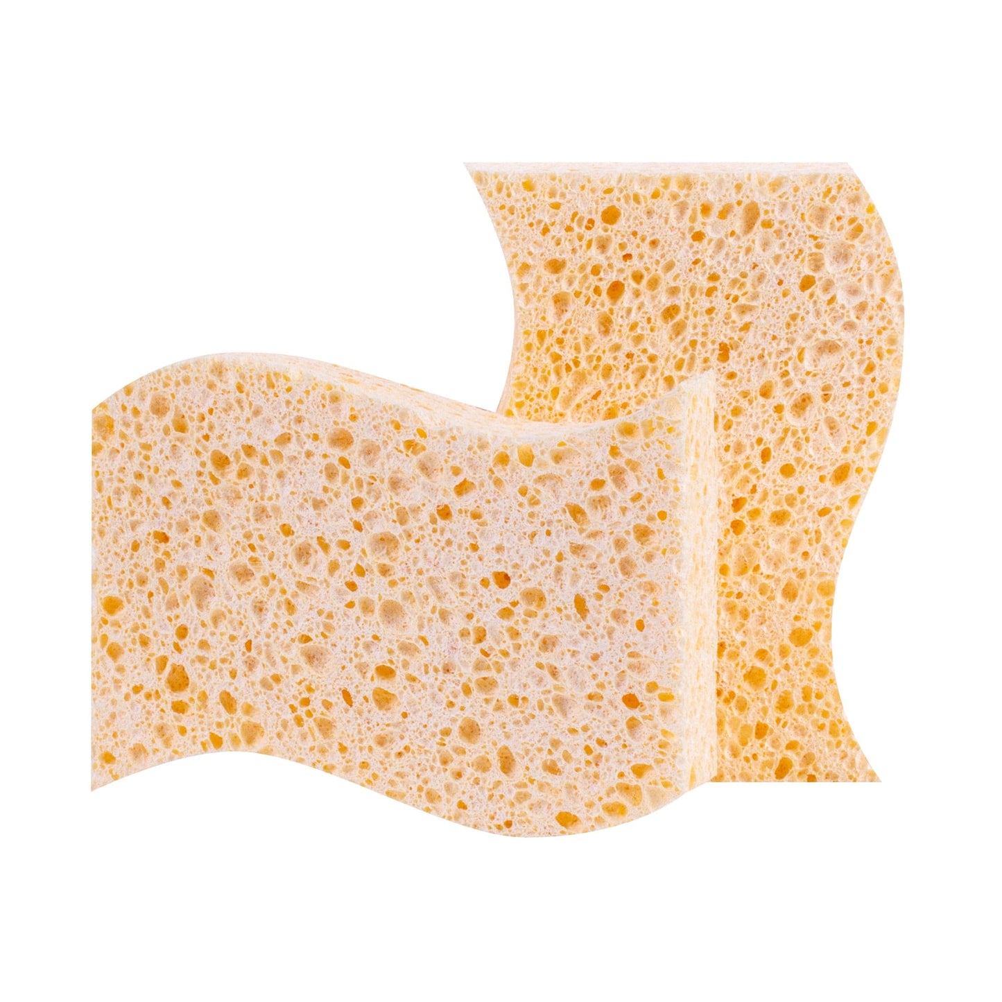 Clevinger Clevinger 6PC Biodegradable Sponges