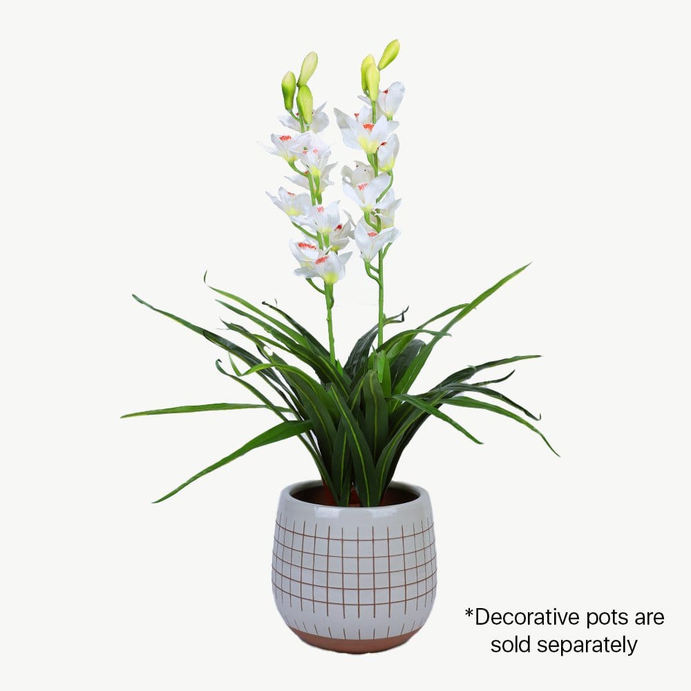 Living Today Artificial Flora 100cm White Cymbidium - Artificial Plant, Home Decor Flora