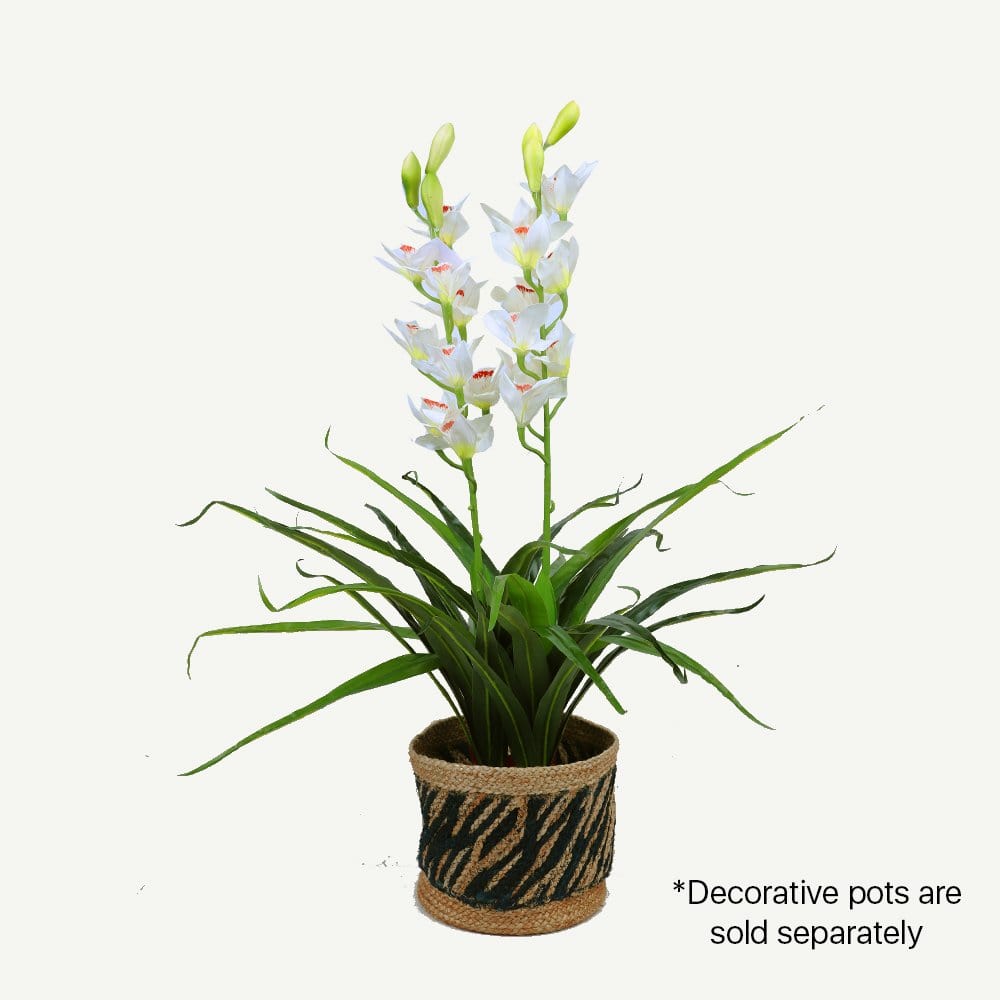 Living Today Artificial Flora 100cm White Cymbidium - Artificial Plant, Home Decor Flora