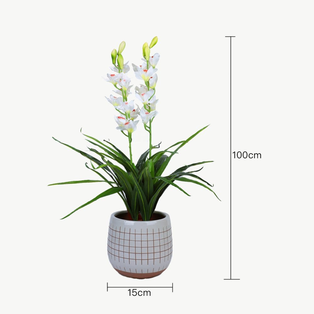 Living Today Artificial Flora 100cm White Cymbidium - Artificial Plant, Home Decor Flora