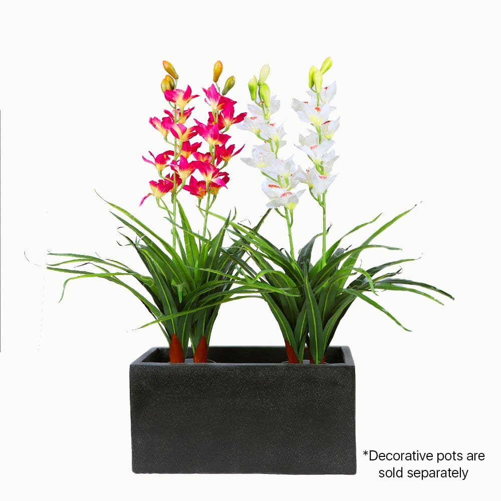 Living Today Artificial Flora 100cm White Cymbidium - Artificial Plant, Home Decor Flora