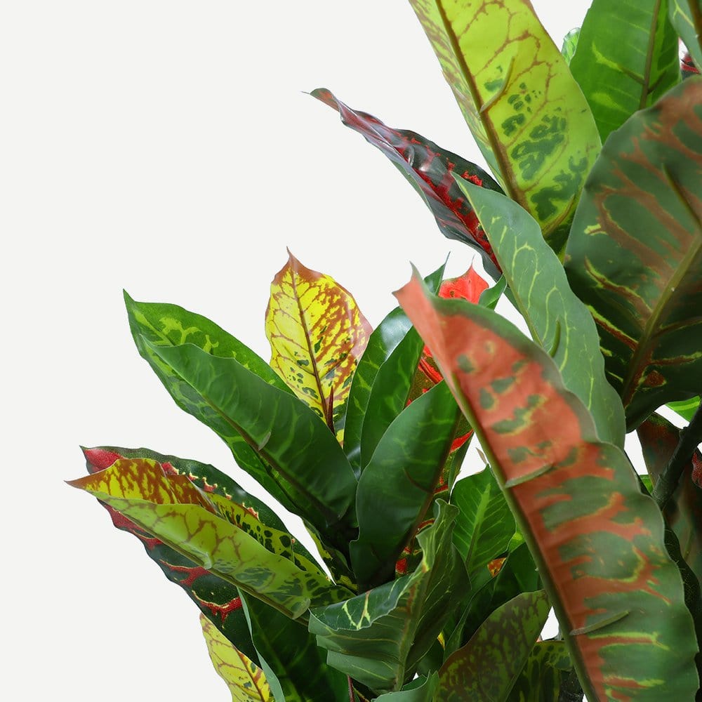 Living Today Artificial Flora 125cm Codiaeum - Artificial Plant, Home Decor Flora