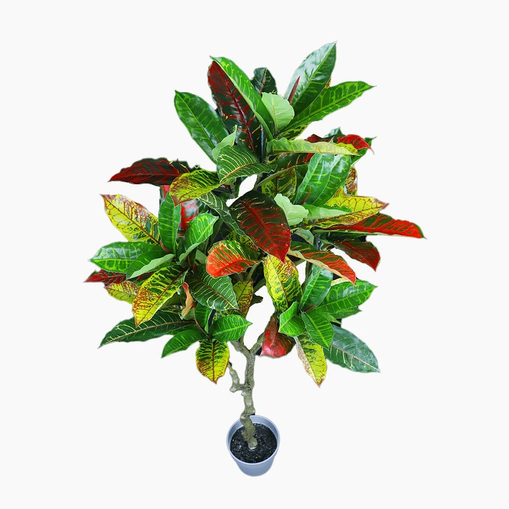 Living Today Artificial Flora 125cm Codiaeum - Artificial Plant, Home Decor Flora