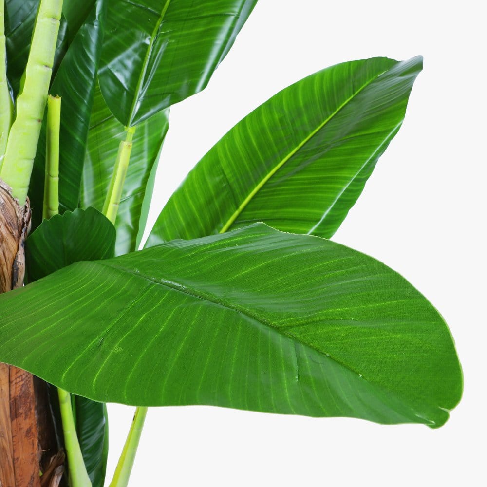 Living Today Artificial Flora 180cm Banana Tree - Artificial Plant, Home Decor Flora