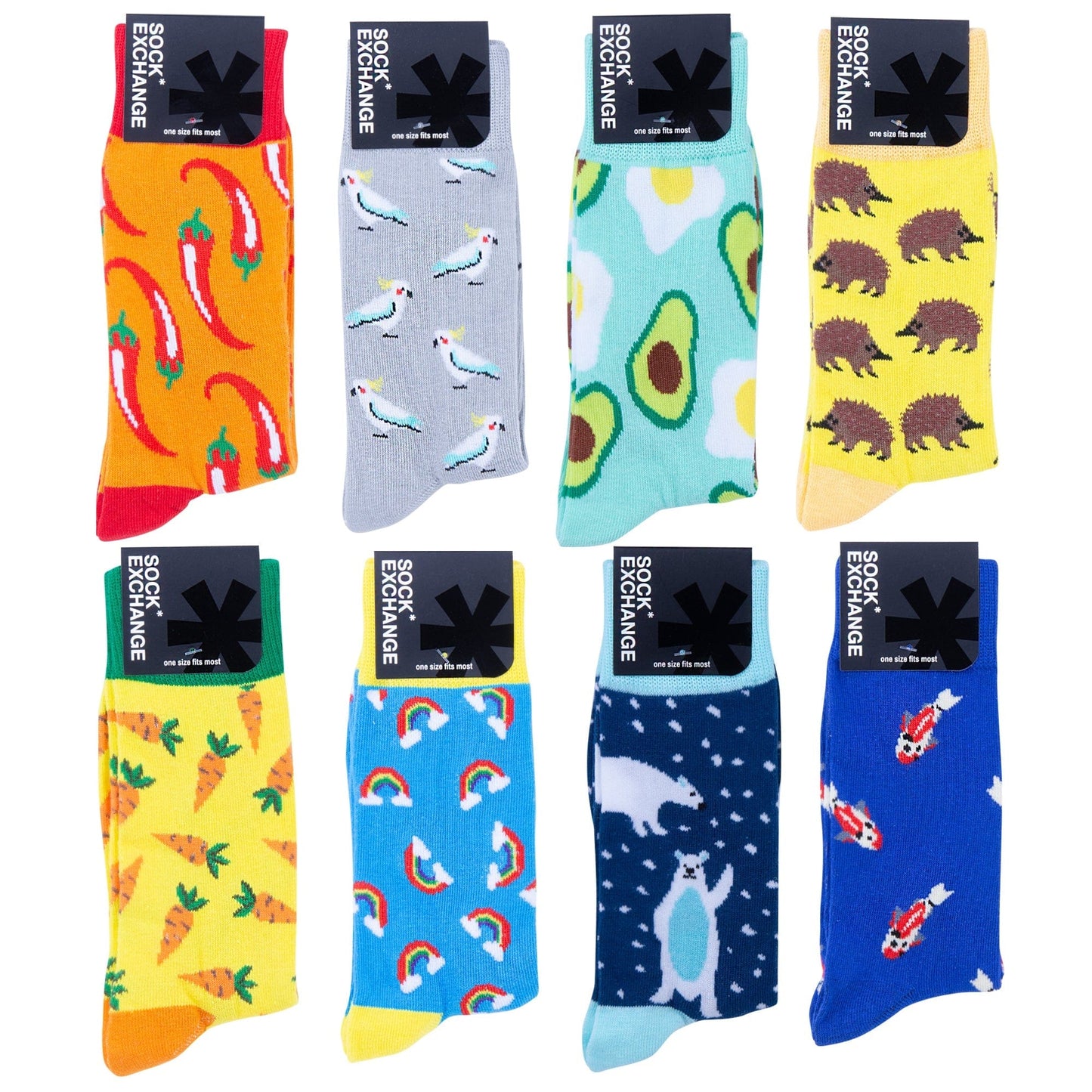 Sock Exchange Socks Wholesale 480 Novelty Socks and Display (RRP $4.95 or $9.95 for 3)